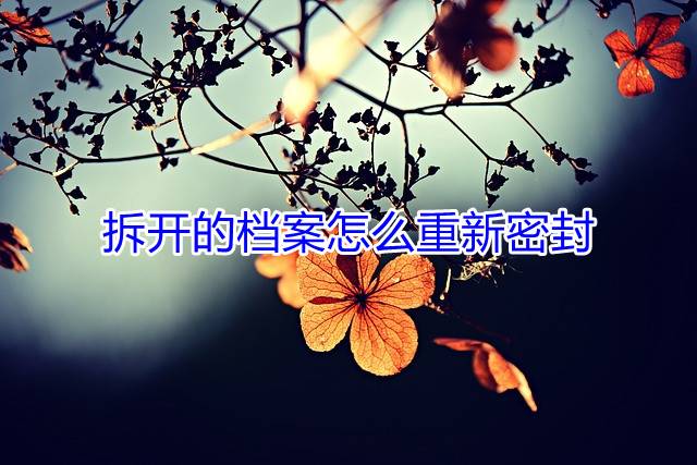 拆开的档案怎么重新密封