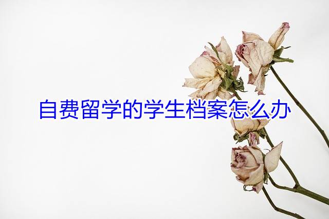 自费留学的学生档案怎么办
