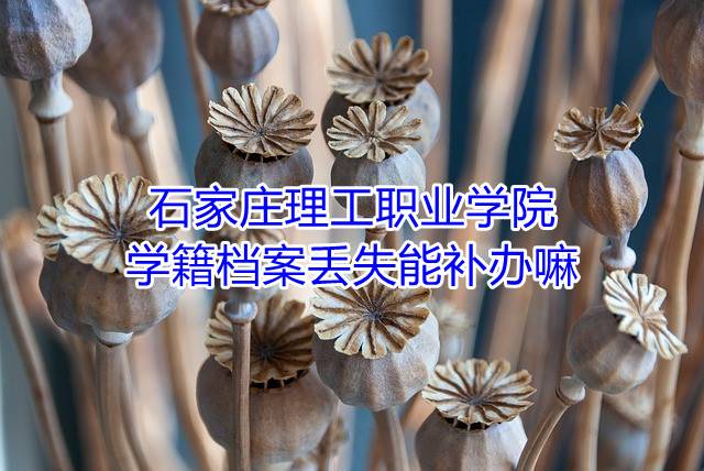 石家庄理工职业学院学籍档案丢失能补办嘛