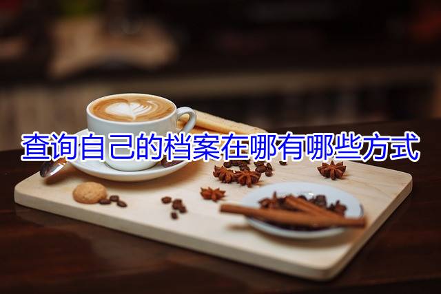 查询自己的档案在哪有哪些方式