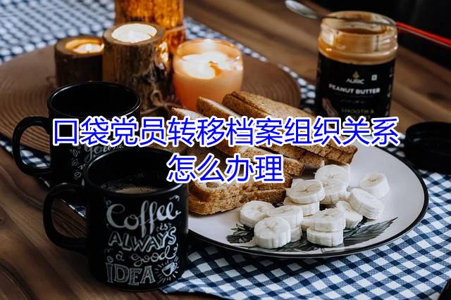 口袋党员转移党组织关系怎么办理