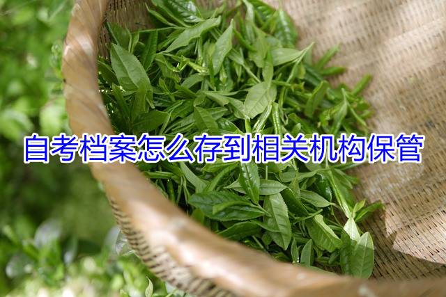自考档案怎么存到相关机构保管