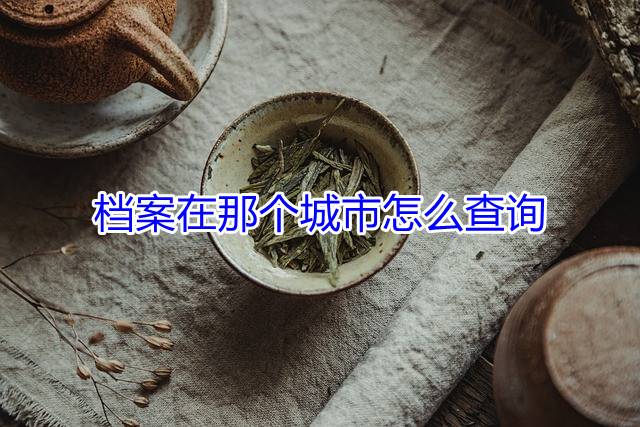 档案在那个城市怎么查询