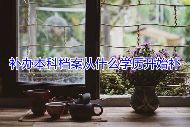 补办本科档案从什么学历开始补