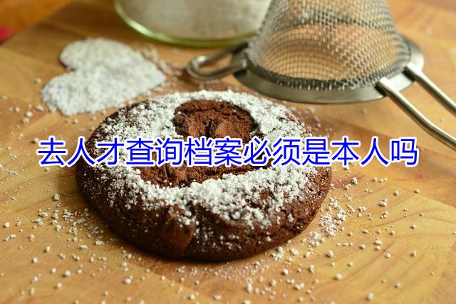 去人才查询档案必须是本人吗