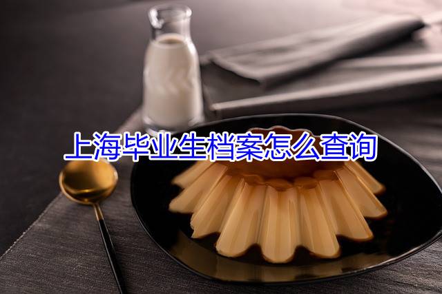上海毕业生档案怎么查询