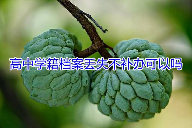高中学籍档案丢失不补办可以吗