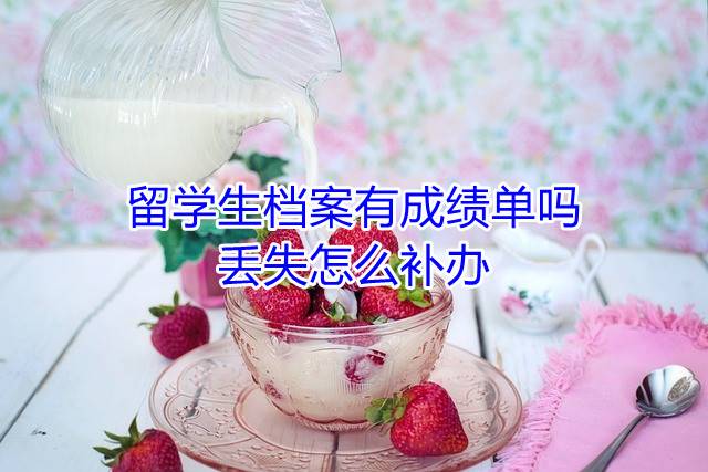 留学生档案有成绩单吗，丢失怎么补办
