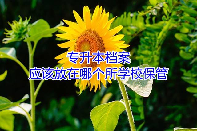 专升本档案应该放在哪个所学校保管