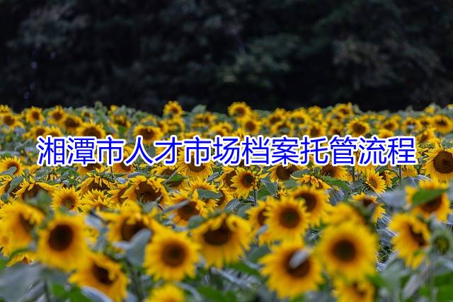 湘潭市人才市场档案托管流程