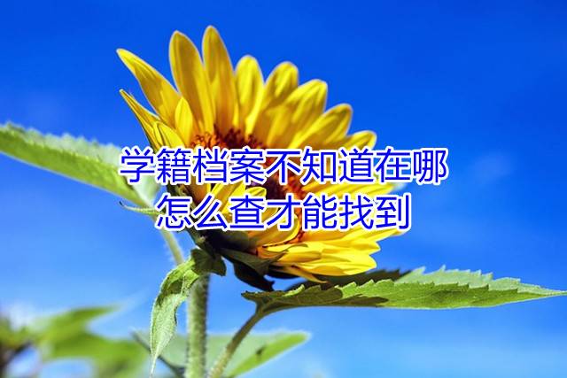 学籍档案不知道在哪，怎么查才能找到
