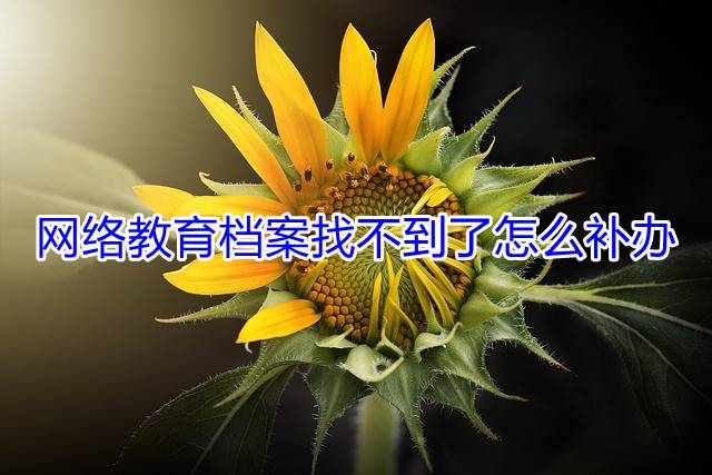 网络教育档案找不到了怎么补办