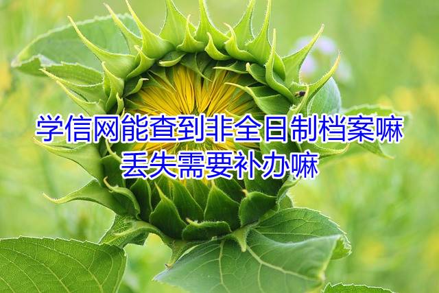 学信网能查到非全日制档案嘛，丢失需要补办嘛