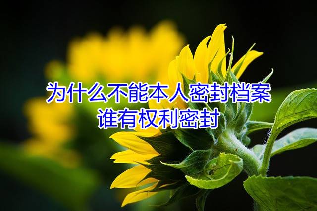 为什么不能本人密封档案，谁有权利密封