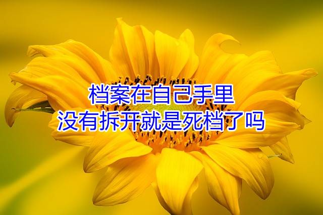 档案在自己手里没有拆开就是死档了吗