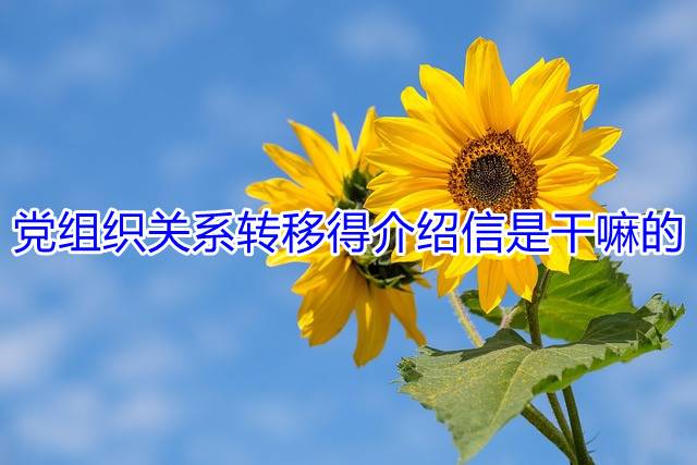 党组织关系转移得介绍信是干嘛的