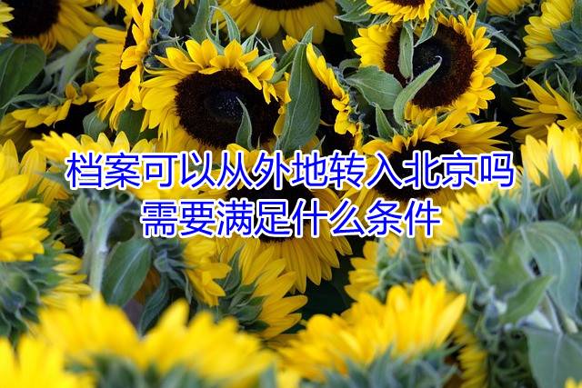 档案可以从外地转入北京吗需要满足什么条件