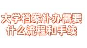 大学档案补办的话需要什么流程和手续，找代办价格是多少
