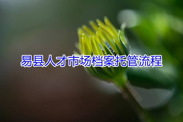 易县人才市场档案托管流程