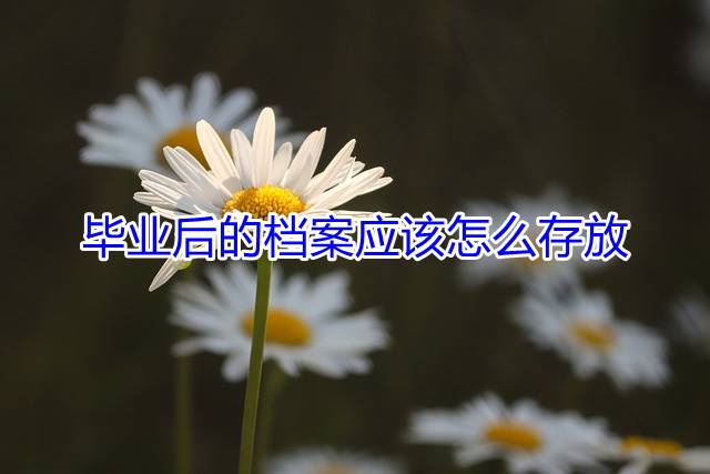 毕业后的档案应该怎么存放