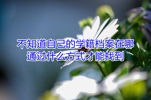 不知道自己的学籍档案在哪，通过什么方式才能找到