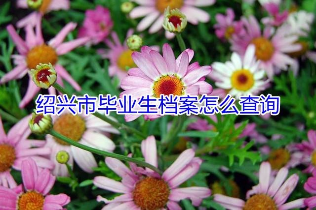 绍兴市毕业生档案怎么查询