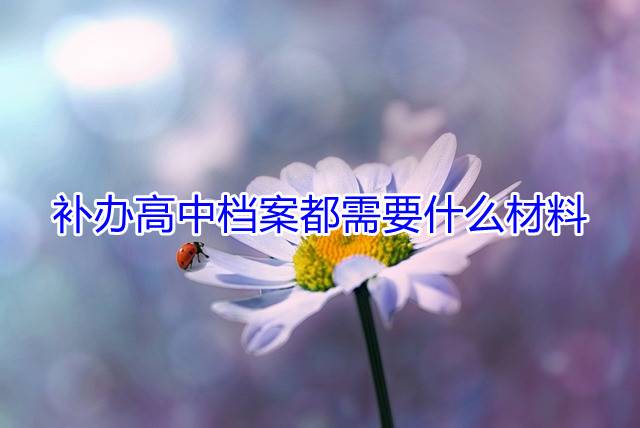 补办高中档案都需要什么材料