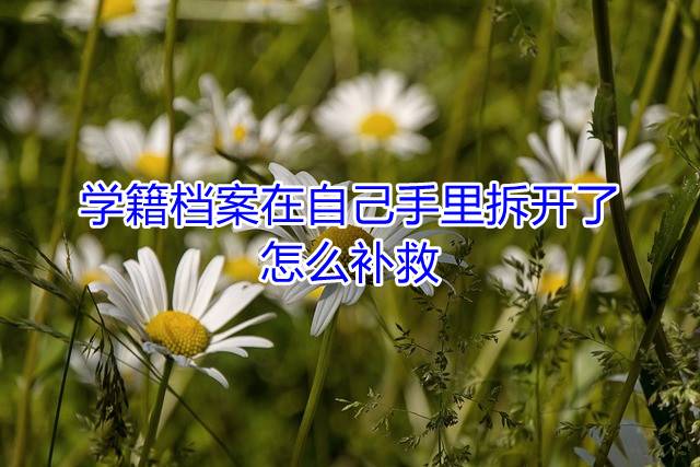 学籍档案在自己手里拆开了怎么补救