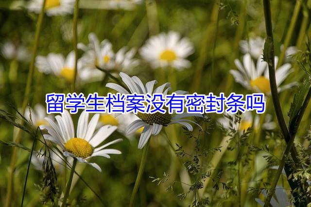 留学生档案没有密封条吗