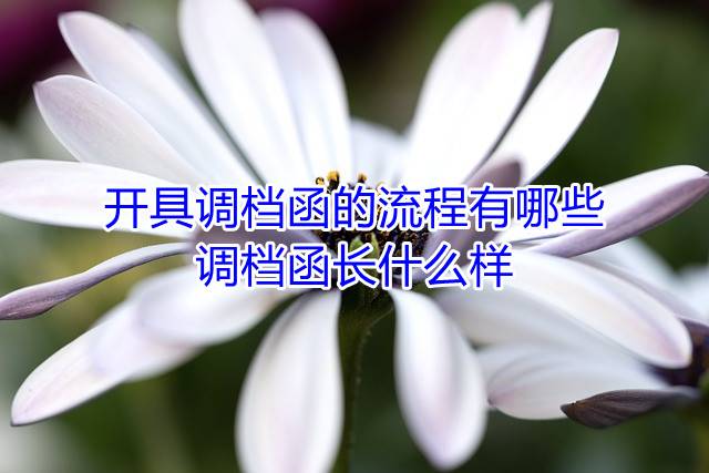 开具调档函的流程有哪些，调档函长什么样