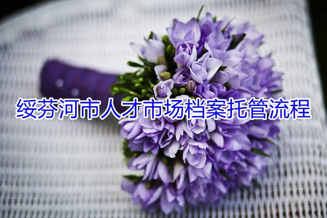 绥芬河市人才市场档案托管流程
