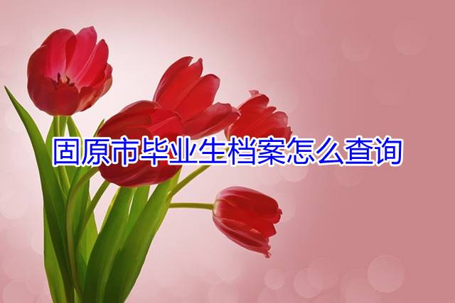 固原市毕业生档案怎么查询