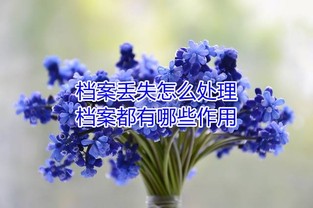 档案丢失怎么处理，档案都有哪些作用