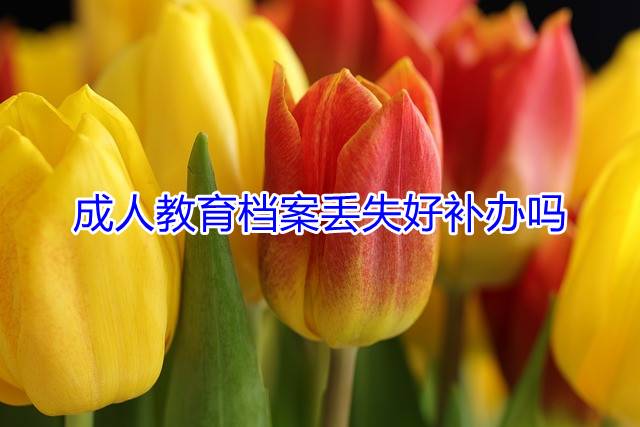 成人教育档案丢失好补办吗