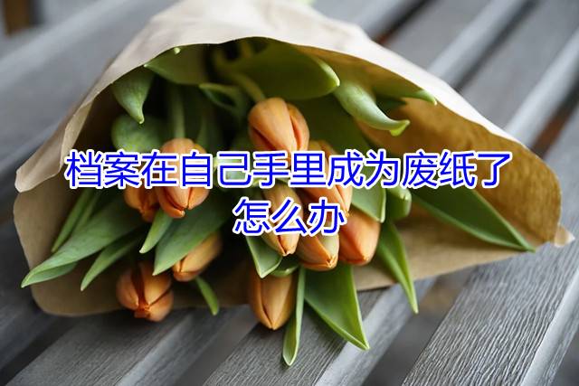 档案在自己手里成为废纸了怎么办
