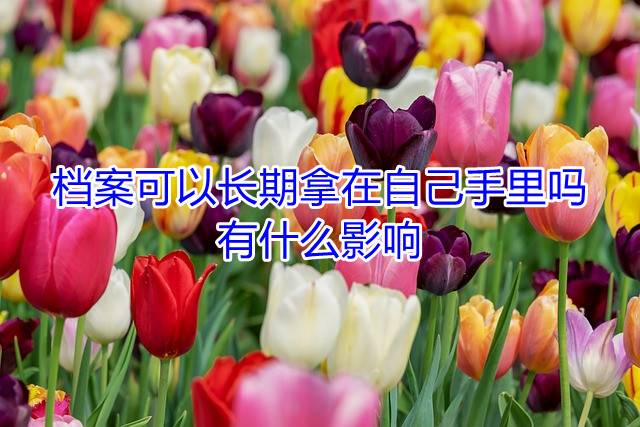档案可以长期拿在自己手里吗，有什么影响