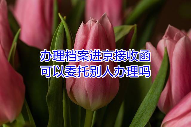 办理档案进京接收函可以委托别人办理吗