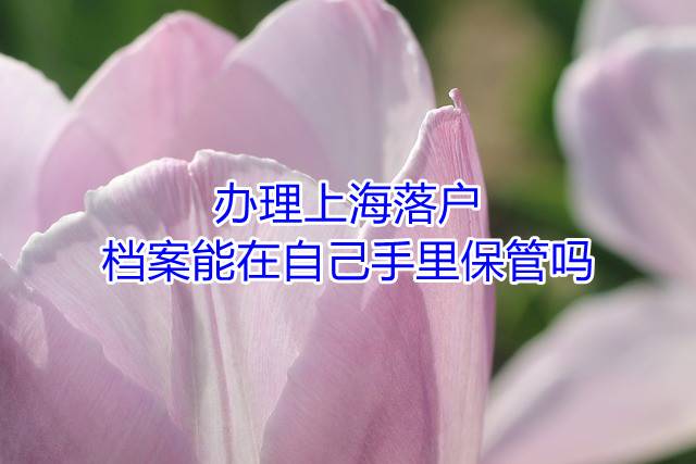 办理上海落户，档案能在自己手里保管吗
