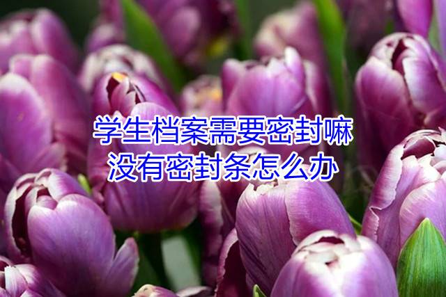 学生档案需要密封嘛，没有密封条怎么办