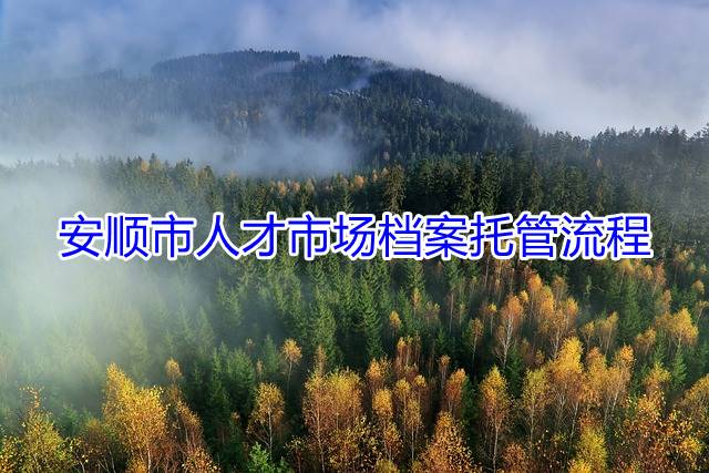 安顺市人才市场档案托管流程