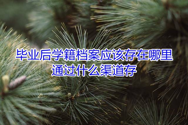 毕业后学籍档案应该存在哪里，通过什么渠道存