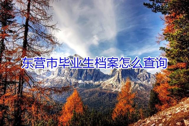 东营市毕业生档案怎么查询