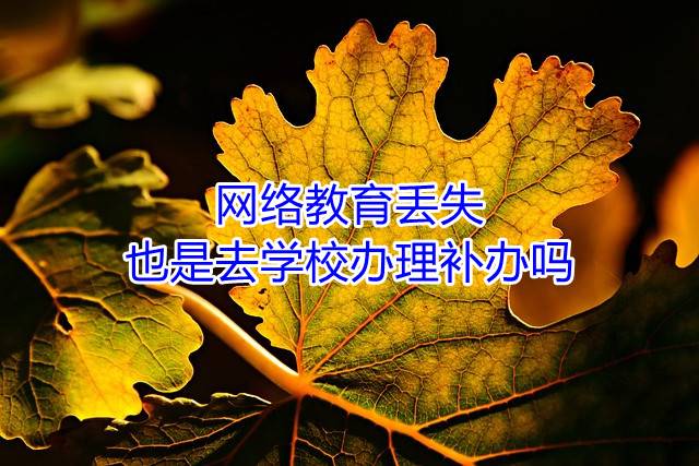 网络教育档案丢失,也是去学校办理补办吗
