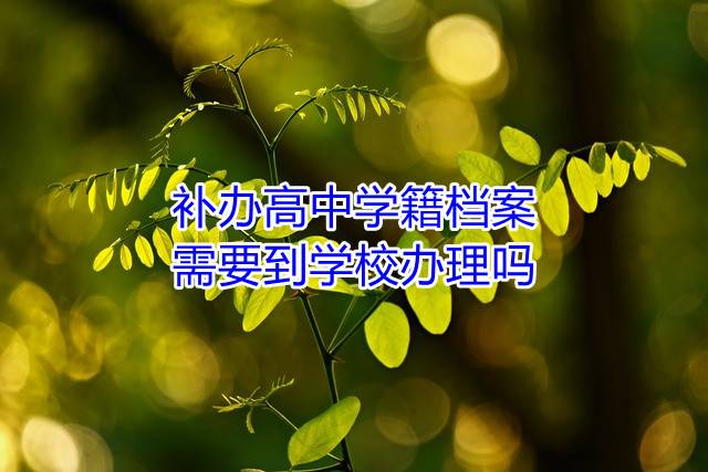 补办高中学籍档案需要到学校办理吗