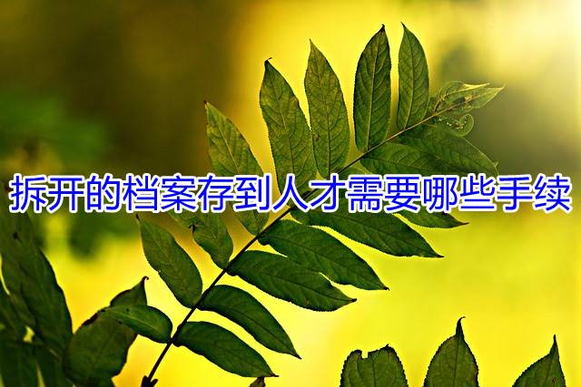拆开的档案存到人才需要哪些手续