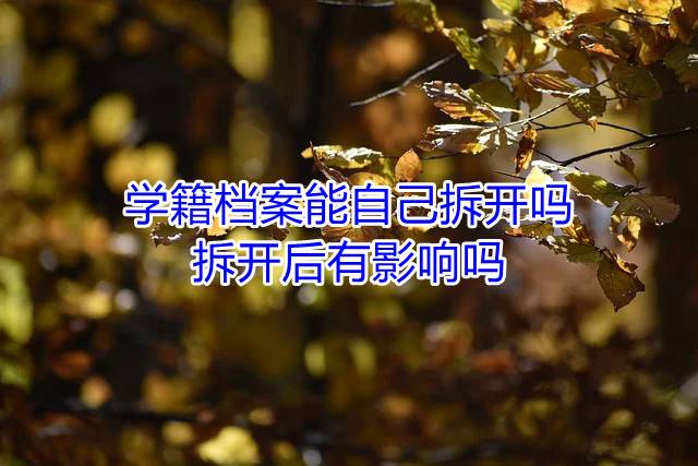 学籍档案能自己拆开吗，拆开后有影响吗