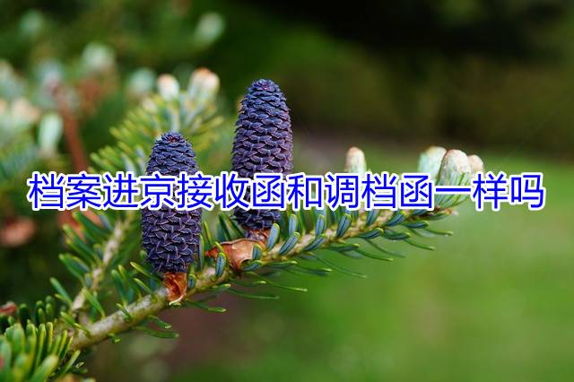 档案进京接收函和调档函一样吗