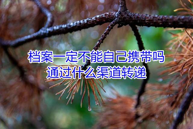 档案一定不能自己携带吗，通过什么渠道转递
