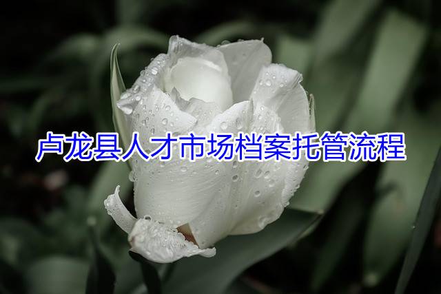 卢龙县人才市场档案托管流程