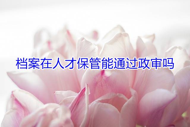 档案在人才保管能通过政审吗